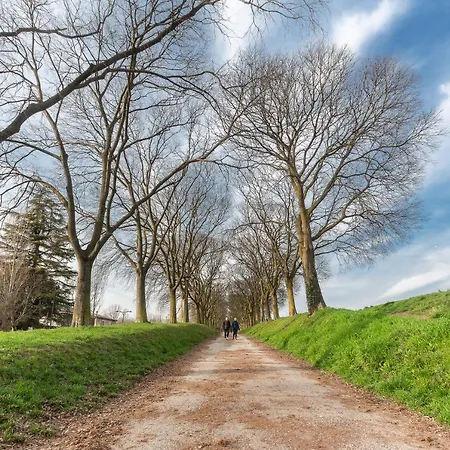 Ariostea Duplex Ferrara